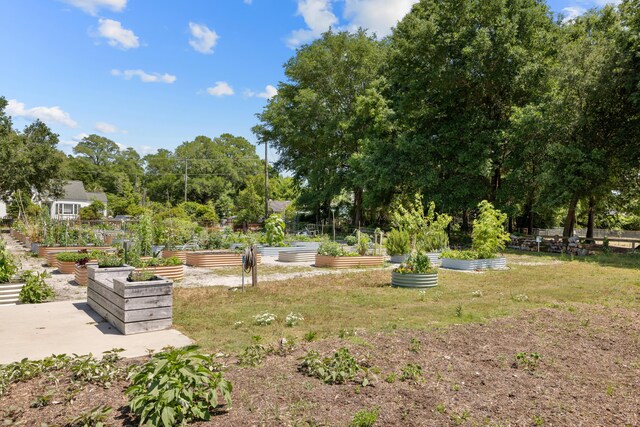 view of yard with a garden