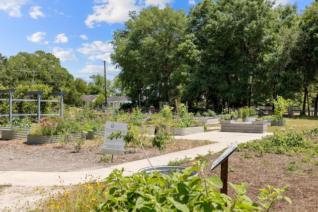 view of community with a vegetable garden