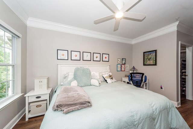 1121 Basildon Rd, Mount Pleasant, SC 29466 - bedroom with crown molding, multiple windows, dark wood-style flooring, and ceiling fan