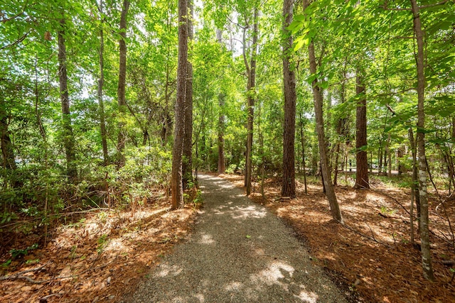 1121 Basildon Rd, Mount Pleasant, SC 29466 - view of street with a wooded view