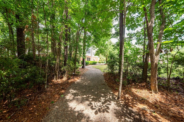 1121 Basildon Rd, Mount Pleasant, SC 29466 - view of dirt / gravel driveway