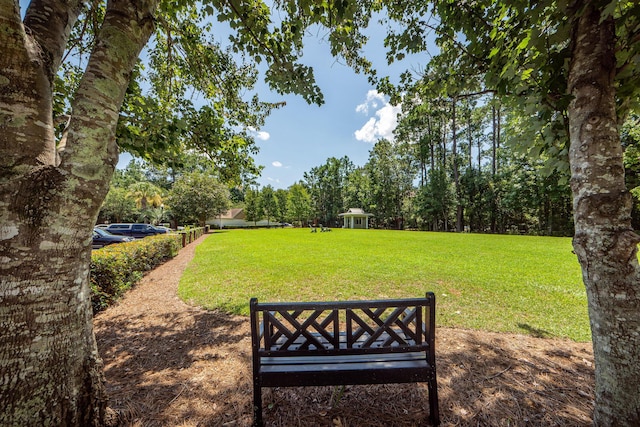 1121 Basildon Rd, Mount Pleasant, SC 29466 - view of green lawn