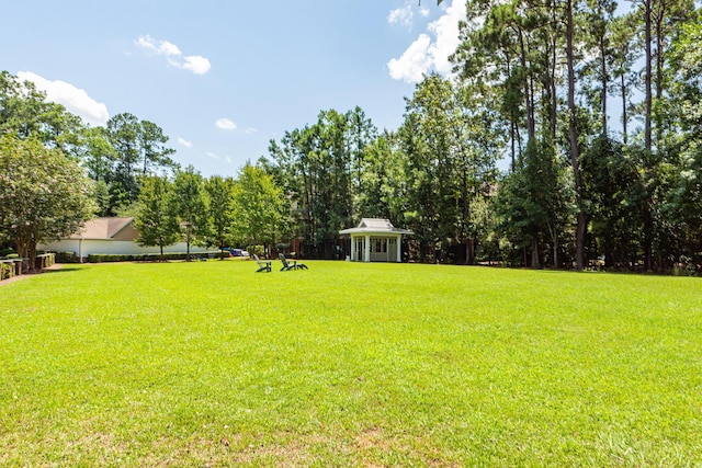 1121 Basildon Rd, Mount Pleasant, SC 29466 - view of green lawn