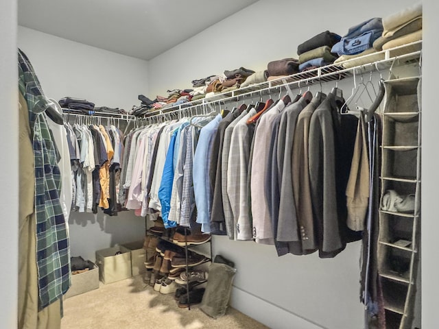 walk in closet featuring carpet