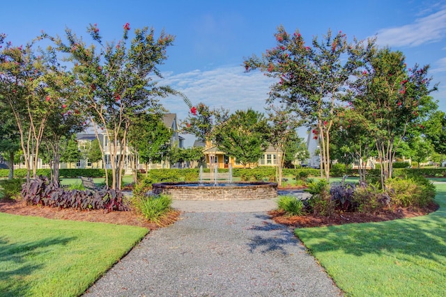 357 Parish Farms Dr, Summerville, SC 29486 - view of home's community featuring a lawn