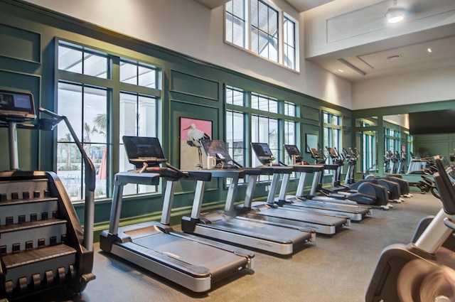 357 Parish Farms Dr, Summerville, SC 29486 - workout area with carpet flooring and a towering ceiling