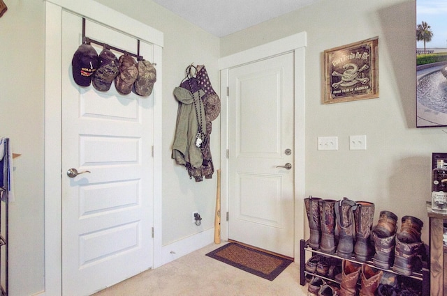 357 Parish Farms Dr, Summerville, SC 29486 - view of carpeted entryway