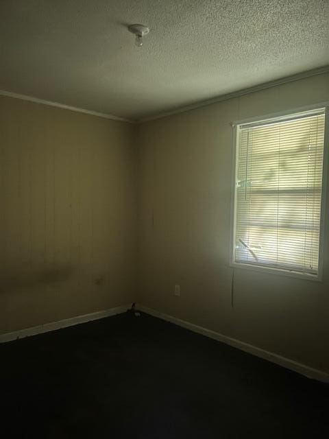 unfurnished room with crown molding and a textured ceiling