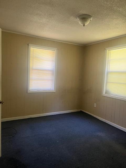 carpeted empty room featuring a textured ceiling and wood walls