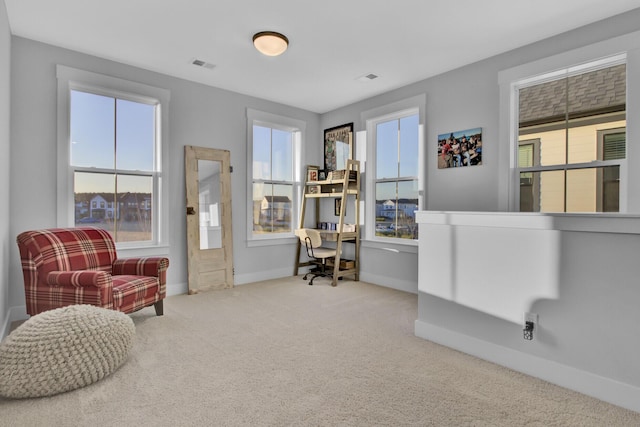 living area featuring carpet flooring