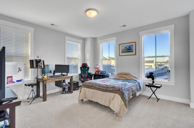 bedroom with carpet