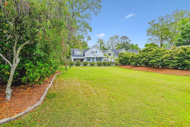 view of green lawn