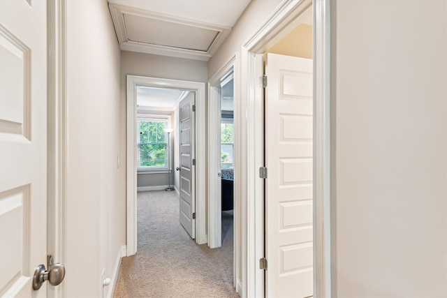 corridor featuring light colored carpet, baseboards, and attic access