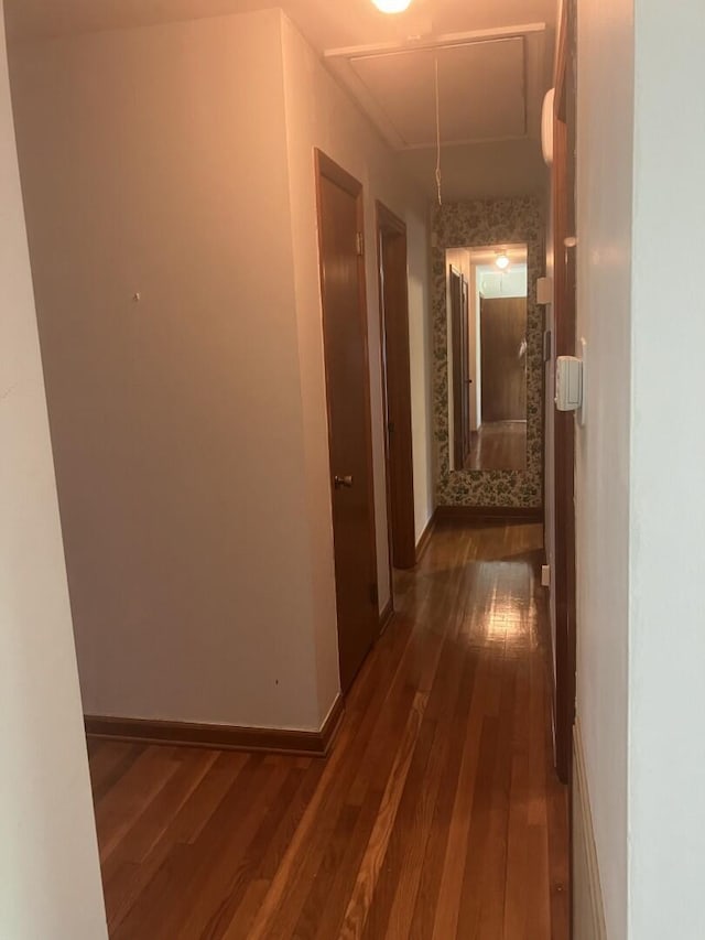 874 Evans Rd, Charleston, SC 29412 - hall with attic access and dark wood-type flooring