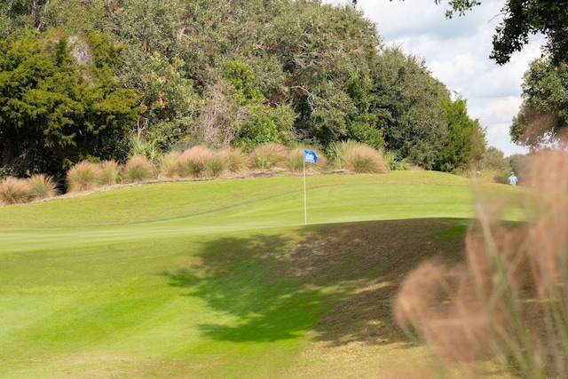 view of property's community with a lawn