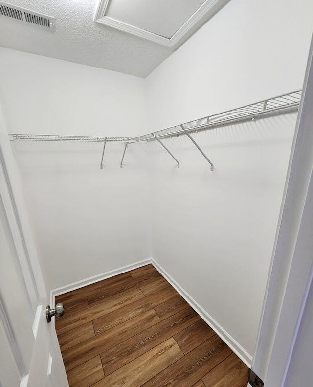 walk in closet with hardwood / wood-style floors