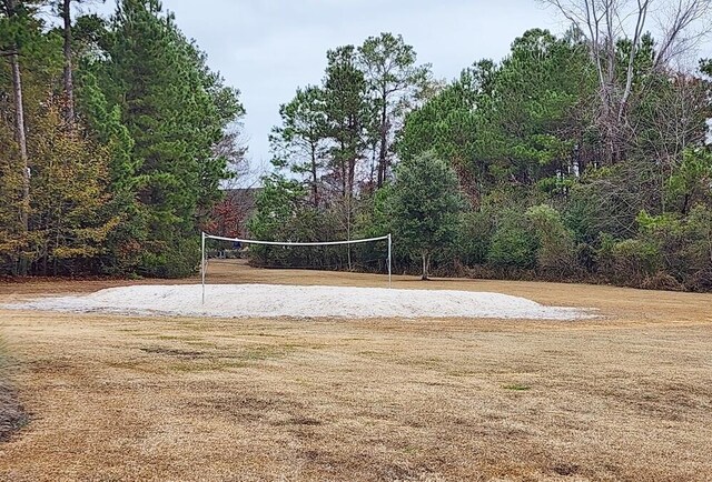 view of property's community with volleyball court