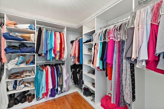 walk in closet featuring wood-type flooring