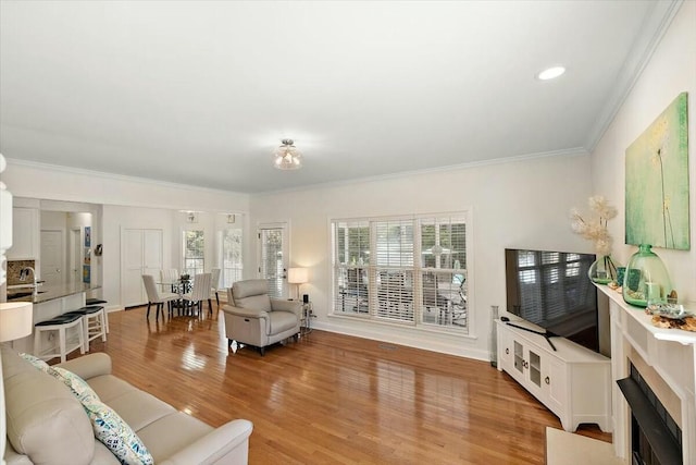 living room featuring ornamental molding and wood-type flooring