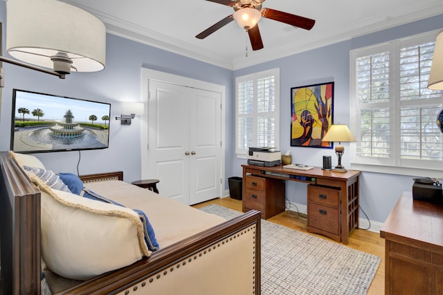 office featuring ceiling fan, light wood-type flooring, and crown molding