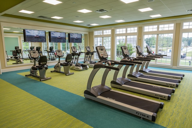 workout area with carpet floors, a drop ceiling, and ornamental molding