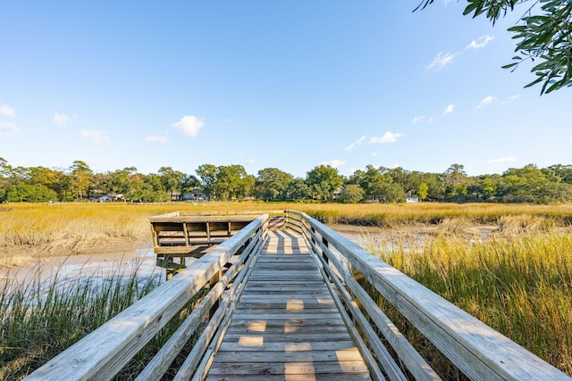 dock area with a water view