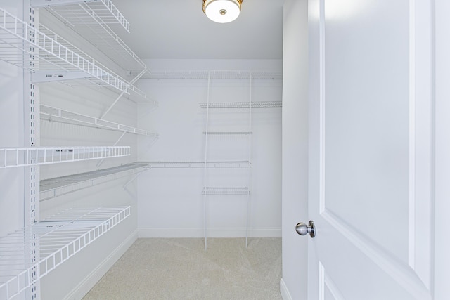 spacious closet featuring carpet