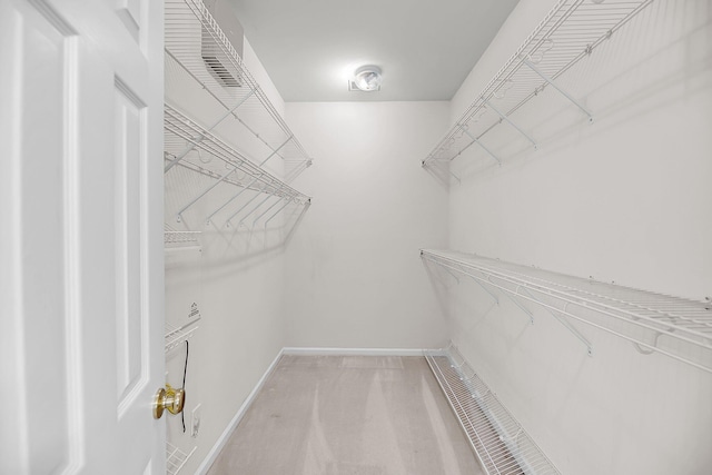 1445 Ashley Gardens Blvd, Charleston, SC 29414 - walk in closet with light carpet
