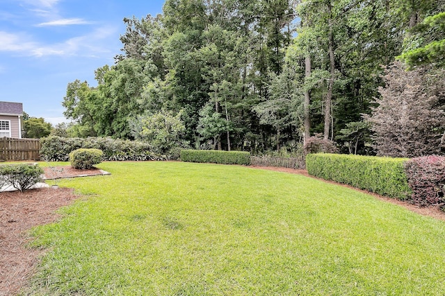 1445 Ashley Gardens Blvd, Charleston, SC 29414 - view of yard