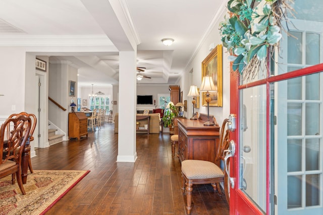 entrance foyer featuring ceiling fan with notable chandelier, dark hardwood / wood-style flooring, and crown molding