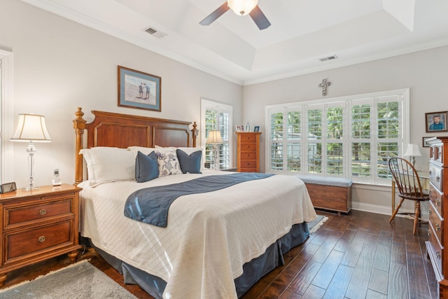 bedroom with a tray ceiling, multiple windows, ceiling fan, and dark hardwood / wood-style flooring