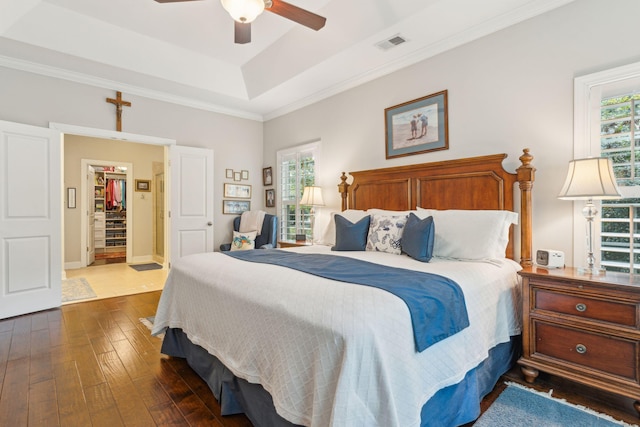 bedroom featuring dark hardwood / wood-style floors, ceiling fan, a walk in closet, and a tray ceiling