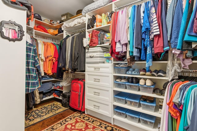 spacious closet with hardwood / wood-style floors