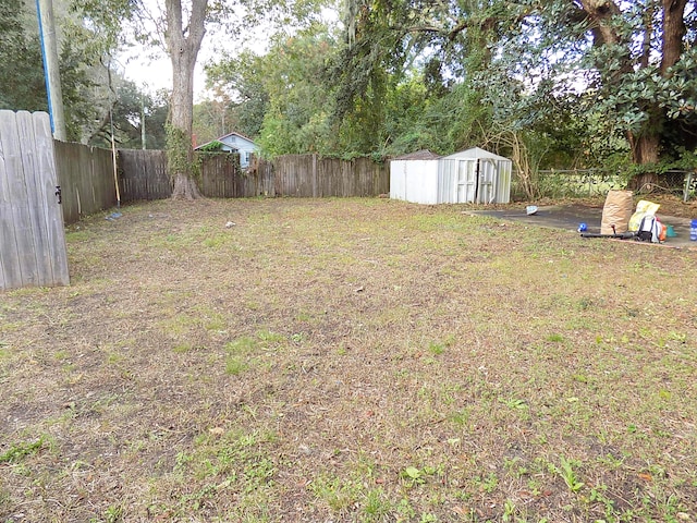 view of yard with a storage shed