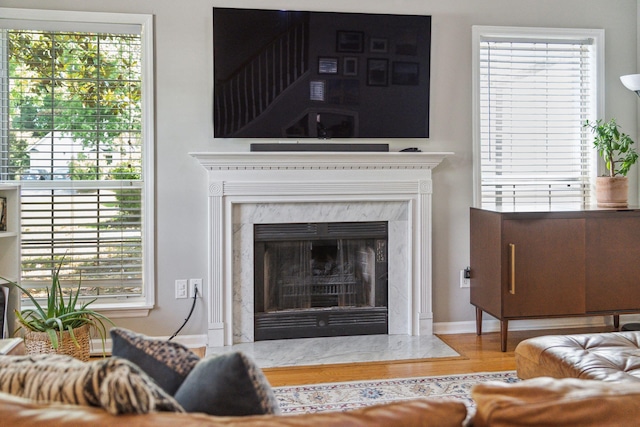 334 Mossy Oak Way, Mount Pleasant, SC 29464 - living room with wood finished floors, baseboards, and a high end fireplace