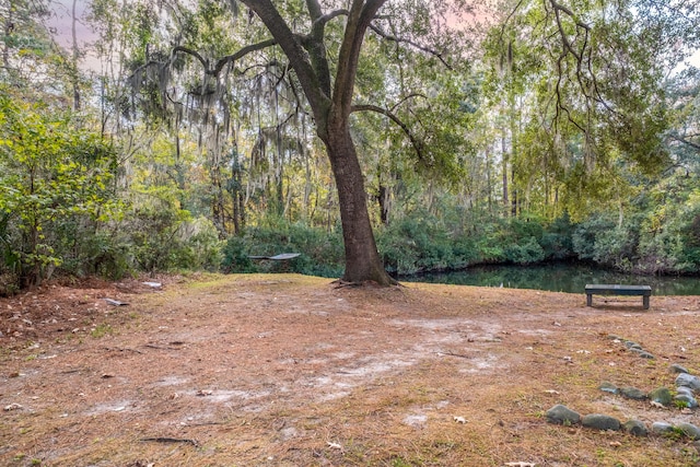 view of yard featuring a water view