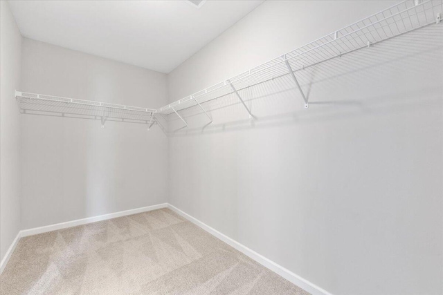 525 Purple Finch Rd, Summerville, SC 29486 - walk in closet featuring carpet floors