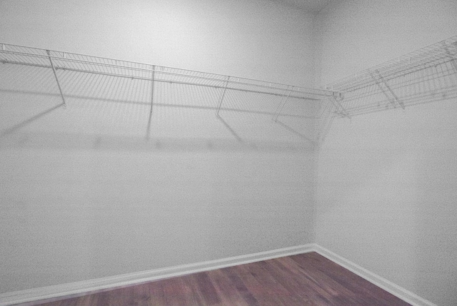 walk in closet featuring dark wood-style floors