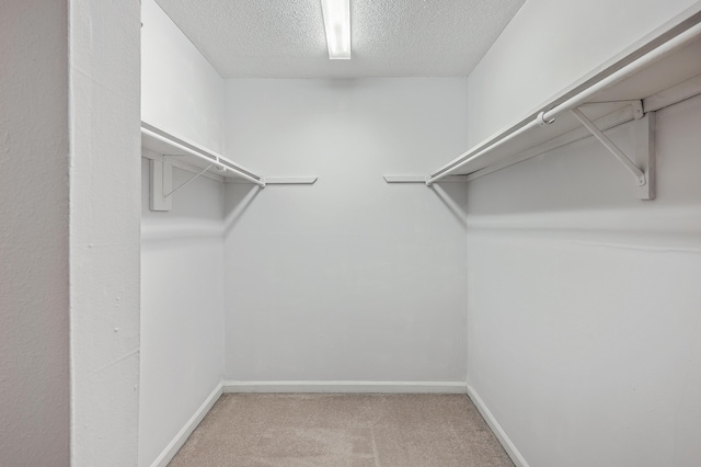 spacious closet featuring light colored carpet