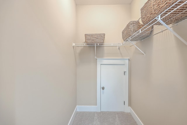 walk in closet featuring carpet