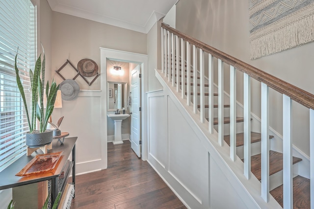 stairs with crown molding, hardwood / wood-style flooring, and sink