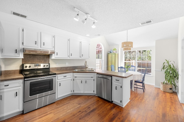 kitchen featuring under cabinet range hood, stainless steel appliances, a peninsula, a sink, and light wood finished floors