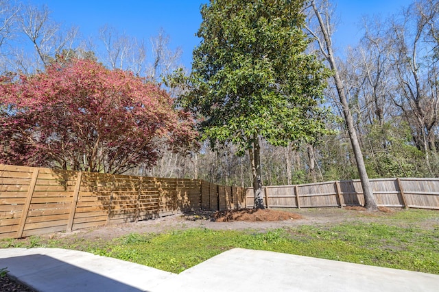 view of yard featuring a patio area and a fenced backyard