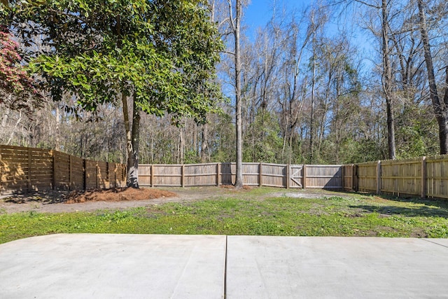 view of yard featuring a patio and a fenced backyard