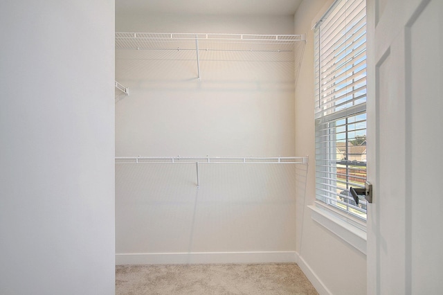 spacious closet with light carpet