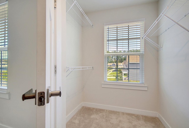 spacious closet featuring light carpet