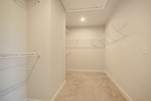 walk in closet with light carpet