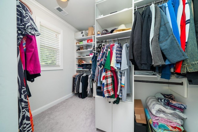 1630 Mermentau St, Mount Pleasant, SC 29466 - walk in closet featuring carpet