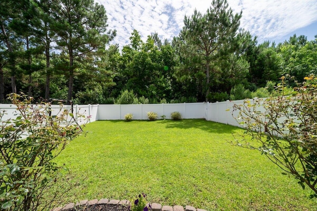 1630 Mermentau St, Mount Pleasant, SC 29466 - view of fenced backyard