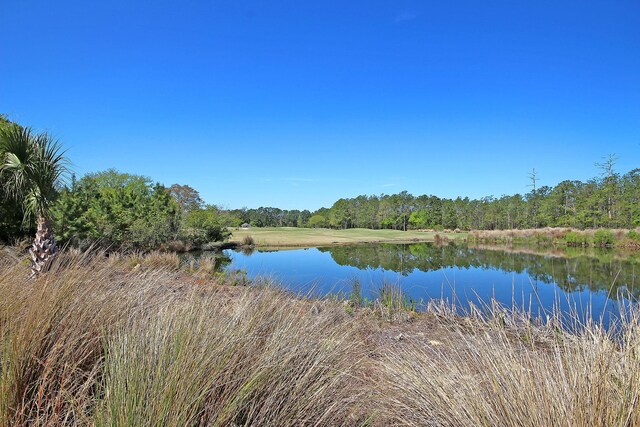 1508 Rivertowne Country Club Dr, Mount Pleasant, SC 29466